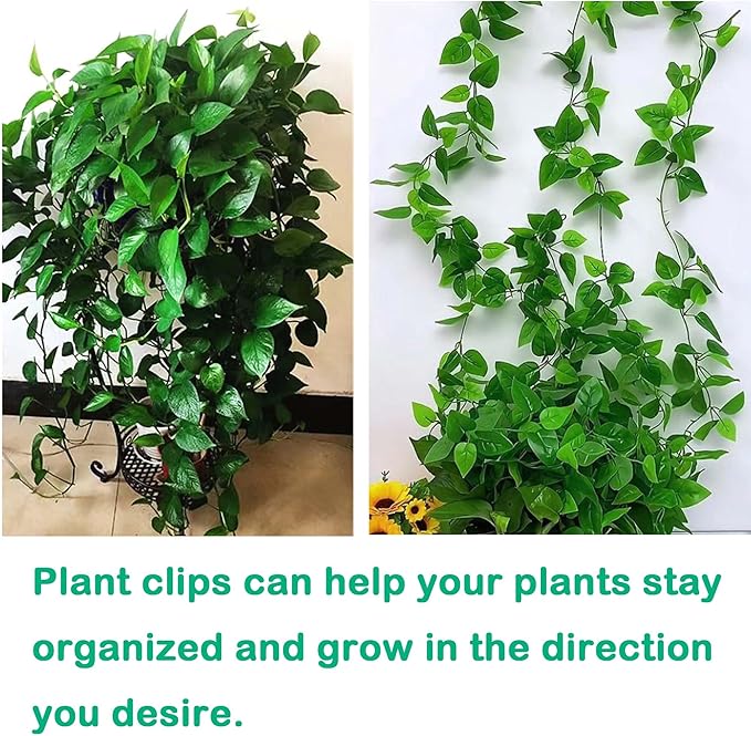 100Pcs Plant Climbing Wall Fixture Clips, Plant Vine Wall Clips Self-Adhesive - Image 6