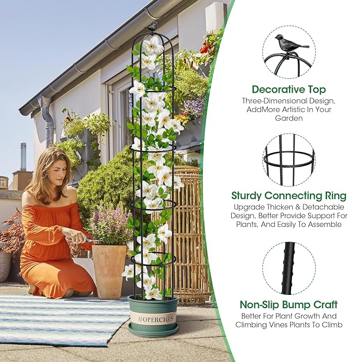 6.2ft Garden Obelisk Trellis for Climbing Plants Rustproof Metal Pipe - Image 5