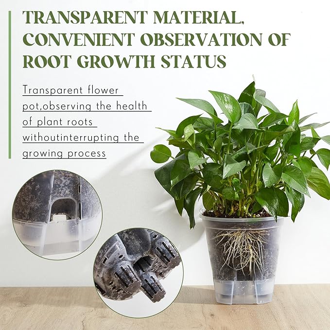 Self Watering Pots for Indoor Plants - Image 4