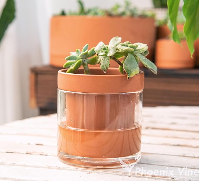 Phoenix Vine 4 Inch Self Watering Planter Pot, Terracotta Clay Pot - Image 7