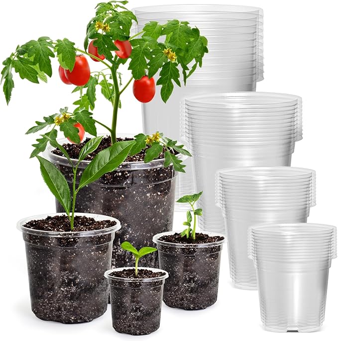 36 Packs 7/5/4/3.5 Inch Reinforced Clear Nursery Pots by Bluepro