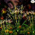 Solar Garden Lights Decor: Gardening Gifts by Unknown