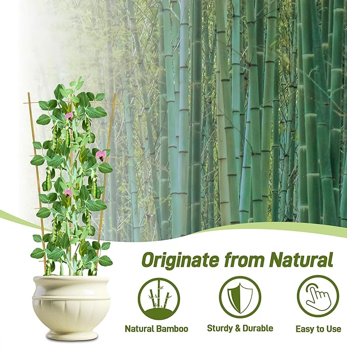 Avalution 10 Pack Bamboo Trellis - Image 3