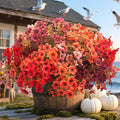 20 Bundles UV Resistant Artificial Fall Flowers by Grunyia