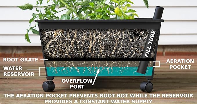 Emsco Group City Picker Raised Bed Grow Box – Self Watering and Improved - Image 5