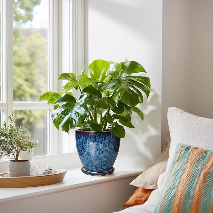 6 Inch Plant Pot - Image 6