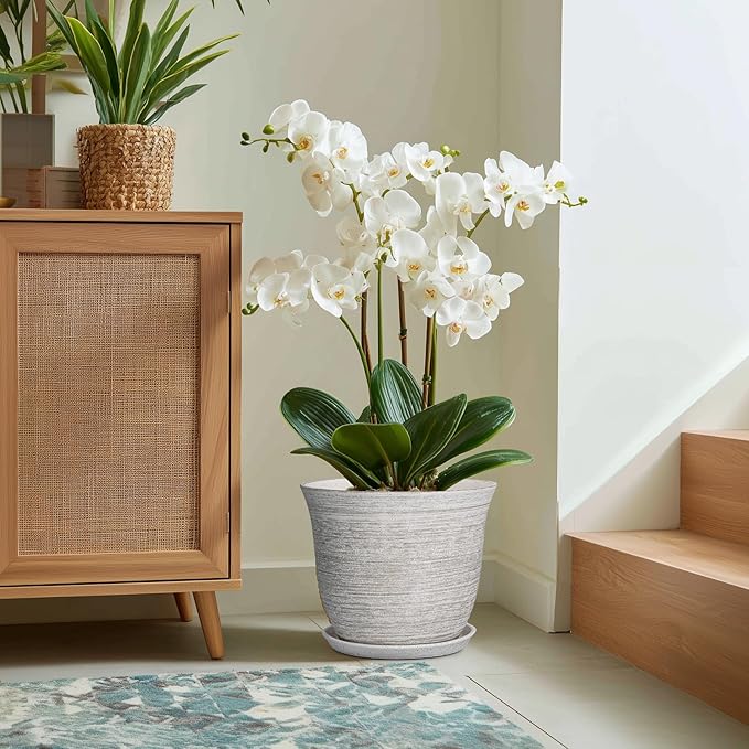 Ceramic Planter - Image 5