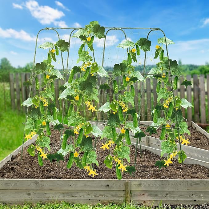 Lalahoni Cucumber Trellis, - Image 6