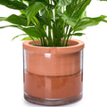 Phoenix Vine 10 Inch Self Watering Planter, Indoor Cylinder Terra Cotta Pot by Phoenix+Vine