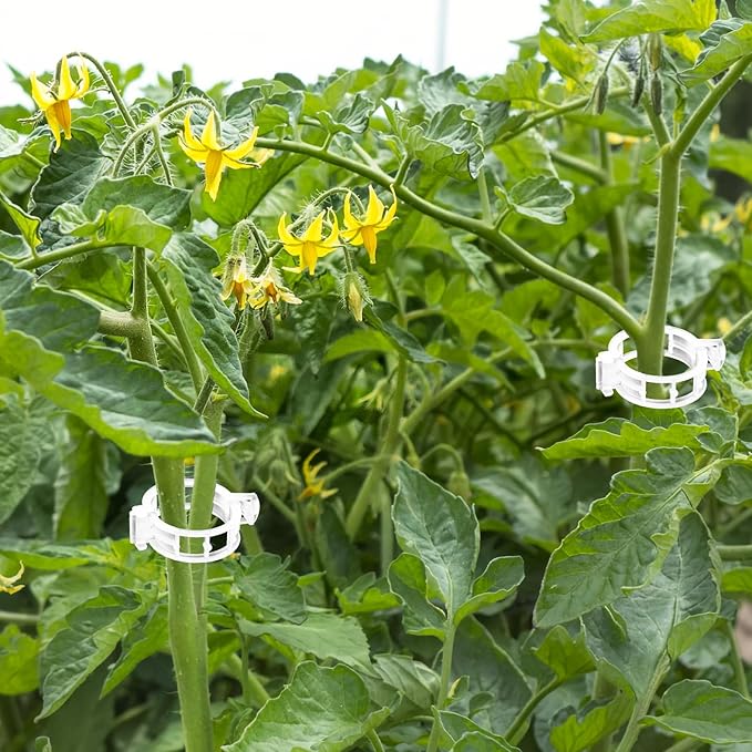 OJYUDD 400 Pcs White Plant Support Garden Clips, Plastic Tomato Vine Clips - Image 7