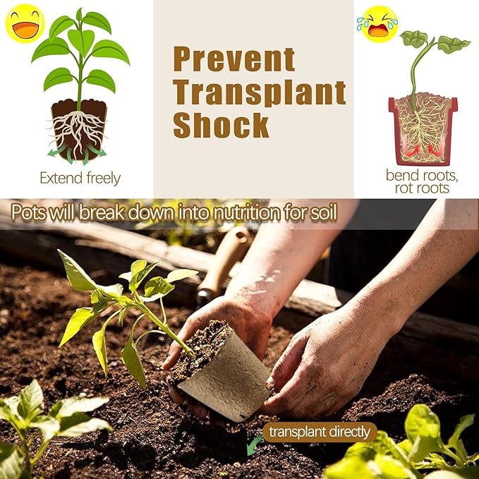 REMIAWY Peat Pots, 34 Pack 3.15 Inch Biodegradable Planting Peat Pots - Image 4