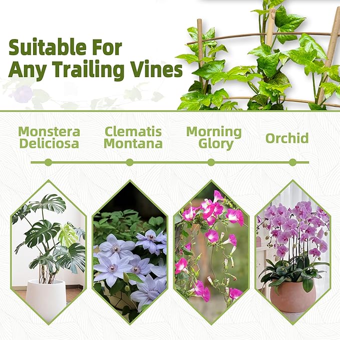 20 Pack 16" Bamboo Trellis for Climbing Plants-Natural Garden Ladder Fan - Image 5