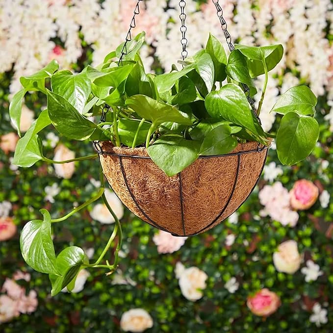 Hanging Baskets Planter for Plants - Image 7