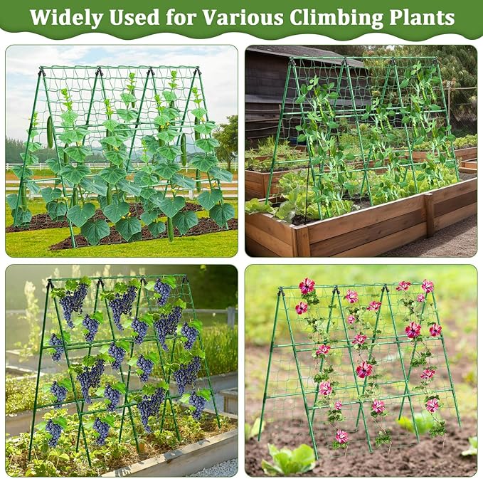 Cucumber Trellis for Raised Bed, 50x 54 inch A-Frame Garden Trellis for - Image 5