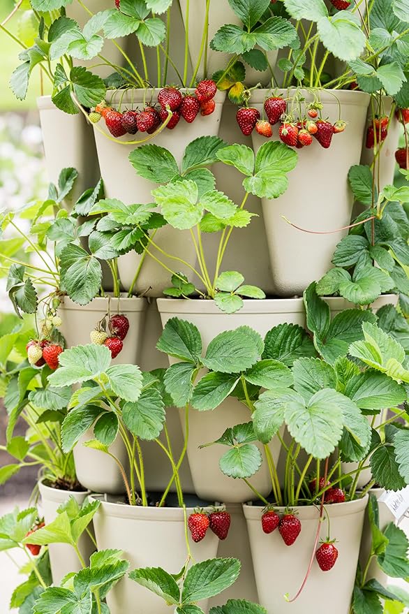 Greenstalk Patented Large 5 Tier Vertical Garden Planter - Image 4