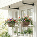 2 Pack Black Metal Pipe Plant Hanger Indoor by ZYUXUANBringNatureCozyHome