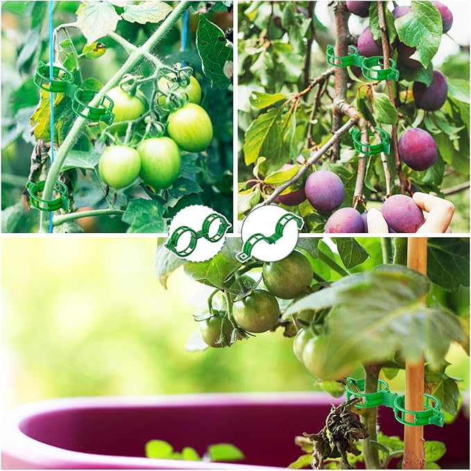 OJYUDD 200 Pcs Plant Support Clips, Plastic Plant Clips - Image 6