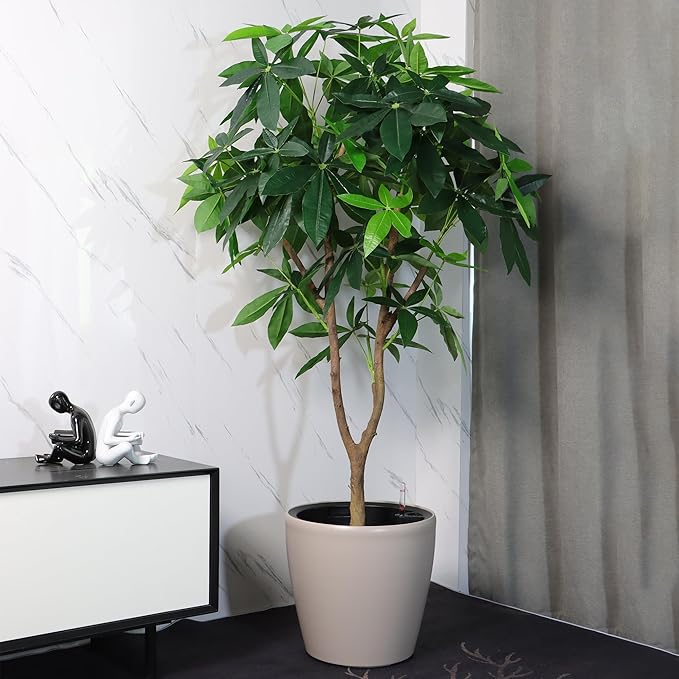 Dexceder 13x12 Self Watering Planter - Image 6