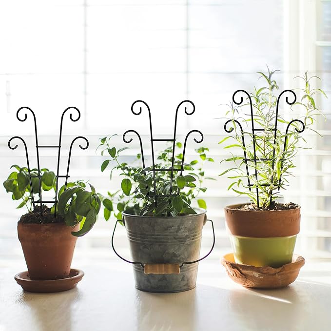 Coomin Small Plant Trellis for Climbing Plants Indoor, 14.5in Metal House Plant - Image 5