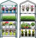 Mini Greenhouse for Indoor Outdoor, Plant Green House 4-Tier Rack Stand by Purlyugreenhouse