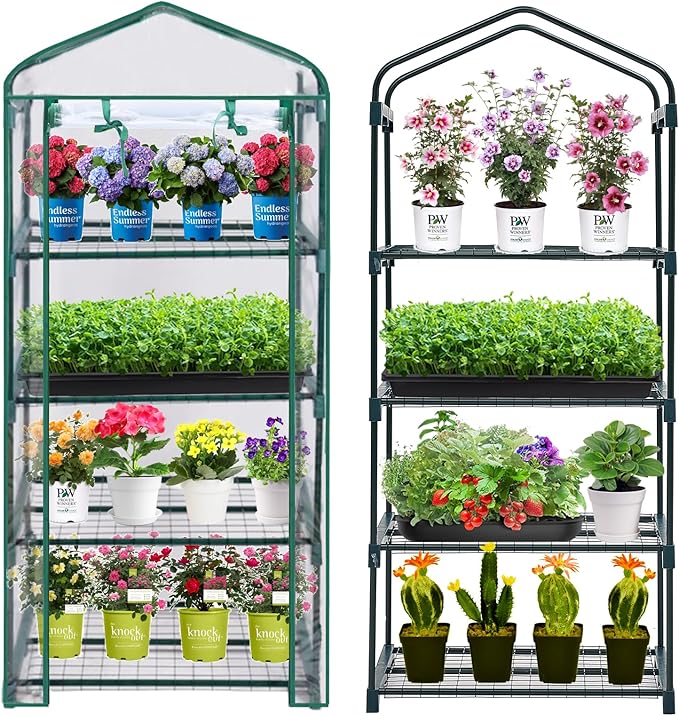 Mini Greenhouse for Indoor Outdoor, Plant Green House 4-Tier Rack Stand by Purlyugreenhouse