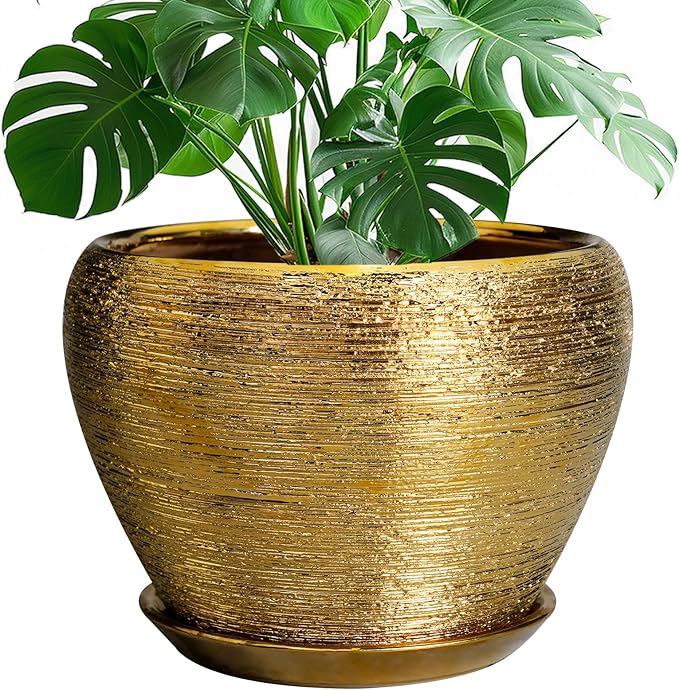 Ceramic Planter 10 Inch by Ceramicfor