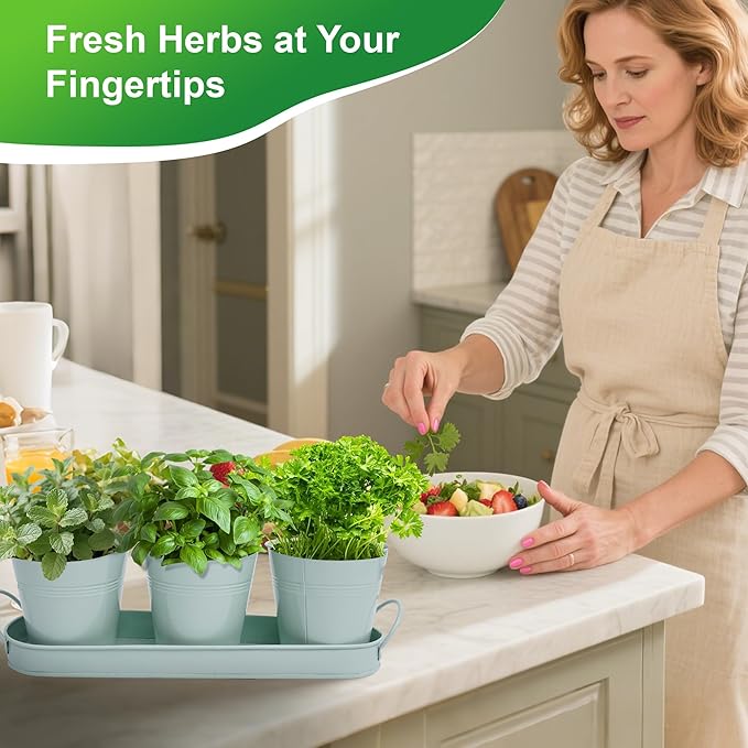 Herb Garden Planter Indoor Kit – 6 Metal Pots - Image 2
