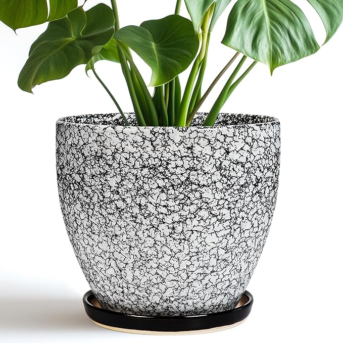 Ceraimc Plant Pot by EPFamily