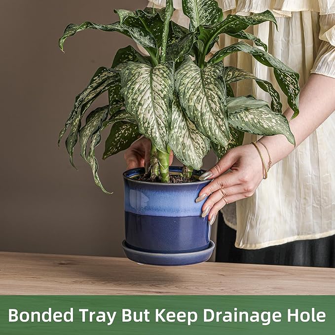 5.8 Inch Plant Pot: Ceramic Planter - Image 3