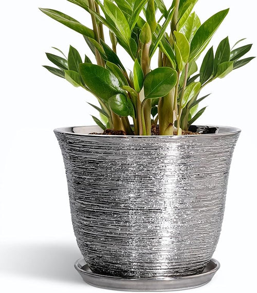10 Inch Plant Pot by SUNPOTFOR