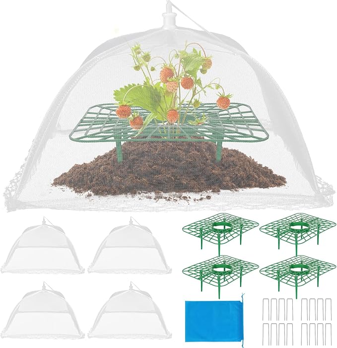 4 Sets Strawberry Plant Supports by NODMIPNS