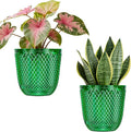 QCQHDU 2 Pack Self Watering Pots, 5.7 Inch Flower Pots by QCQHDU