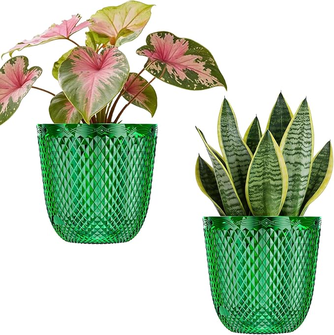 QCQHDU 2 Pack Self Watering Pots, 5.7 Inch Flower Pots by QCQHDU