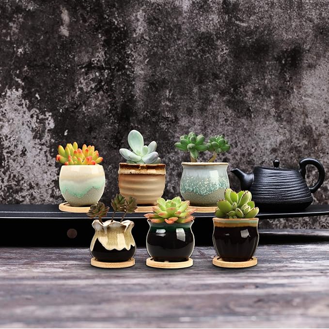 Brajttt 2.1 Inch Succulent Pot - Image 5