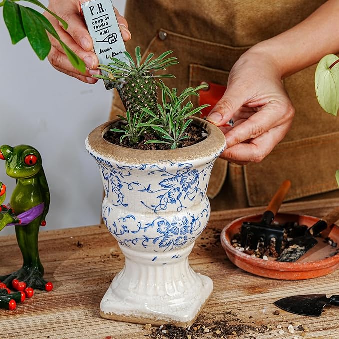 Sungmor Small Ceramic Urn Planter - Image 7