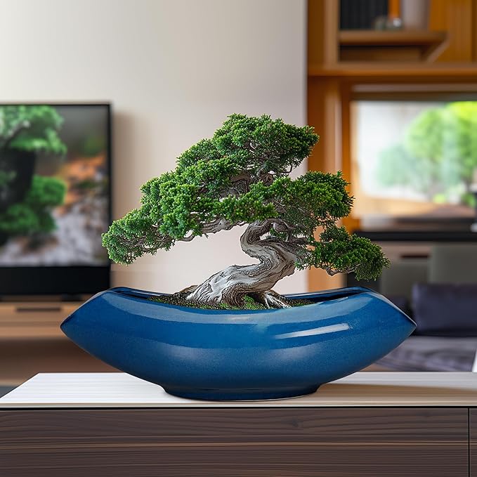 Bonsai Tree Pot 18 Inch - Image 2