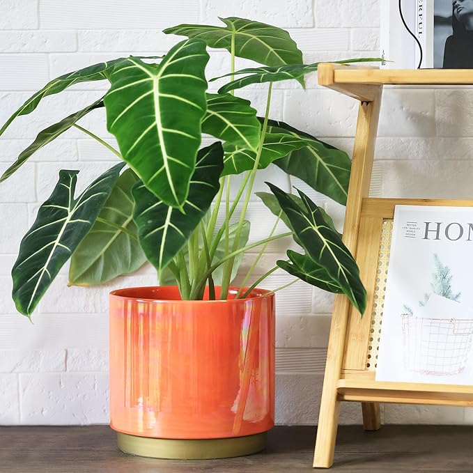 Gepege Peach Indoor Plant Pots for Plants, Large Ceramic Planter - Image 4