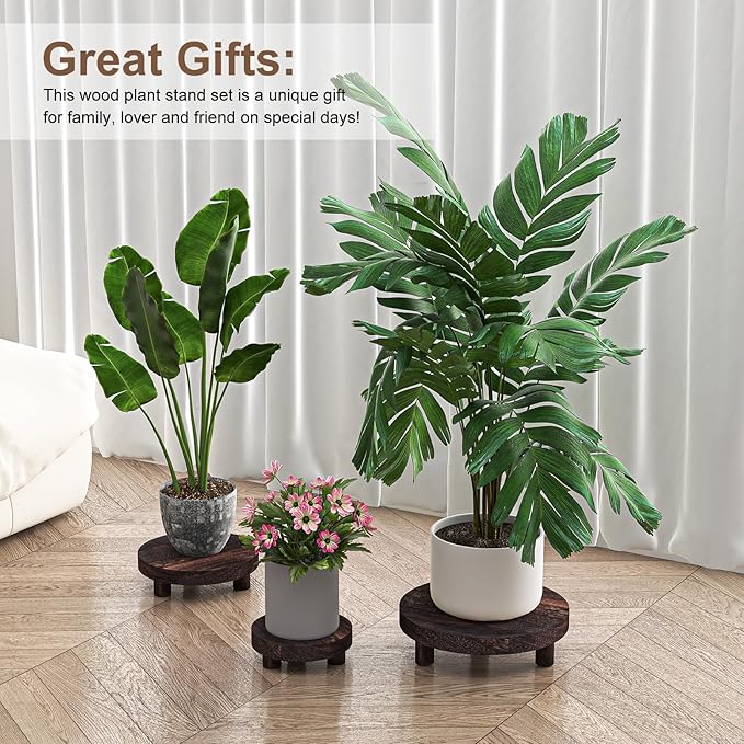 Wood Plant Stand Indoor Outdoor, 12/10/8/6" Round Wood Riser - Image 7