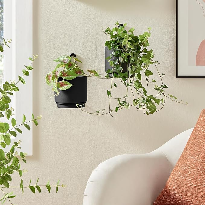 2 Pcs Wall Mounted Hanging Planter Vase - Image 3