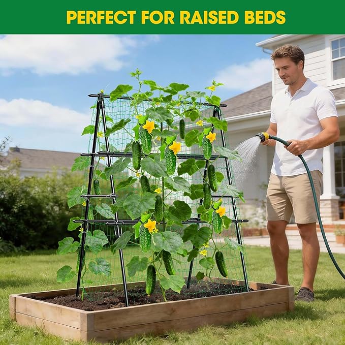 Cucumber Trellis, Metal Garden Trellis - Image 6
