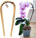 Avalution 16" Natural Bamboo Plants Trellis U-Hoop, Bamboo Gaeden Trellis by Avalution