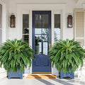 MARTINE MALL 2Pcs 48'' Fake Ferns Look Real Artificial Ferns by MARTINEMALL