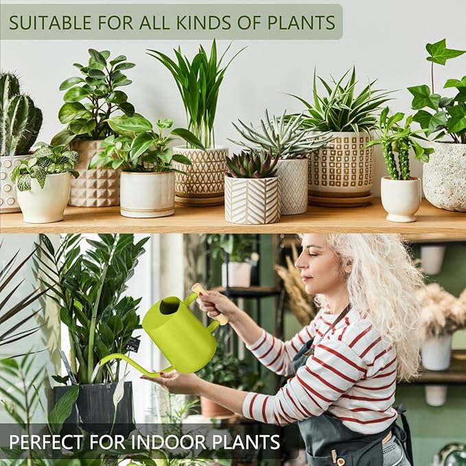 Watering Can Indoor Plants, 35oz Small Stainless Steel Metal Watering Can - Image 4