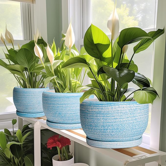 SQOWL Ceramic Planter - Image 6
