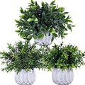 Winlyn 3 Pcs Faux Potted Plants Set by Winlyn