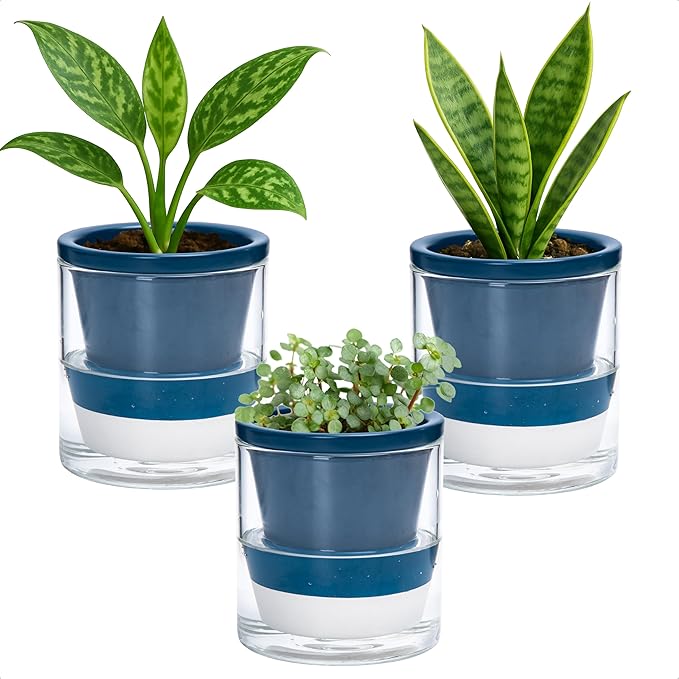 D'vine Dev 4 Inch Design Self Watering Planter by DvineDevPlanterPotsandStand