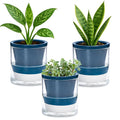 D'vine Dev 4 Inch Design Self Watering Planter by DvineDevPlanterPotsandStand