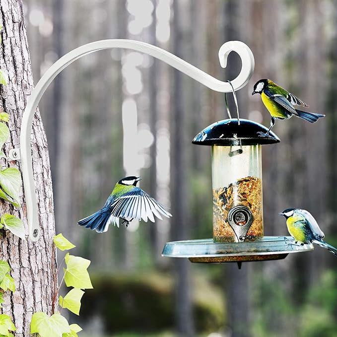 Qiang Ni Bird Feeder Hanger: 12-Inch Wall-Mounted Plant Bracket Outdoor - Image 8