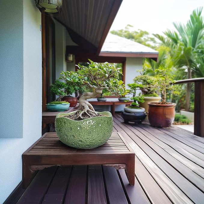 Ceramic Pots for Plants - Image 3