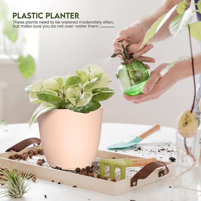 Utopia Home - Plant Pots with Drainage - 7/6.6/6/5.3/4.8 Inches Home Decor - Image 4